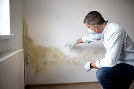 Asbestos and Lead Testing During Mold Inspection in Mount Kisco, NY